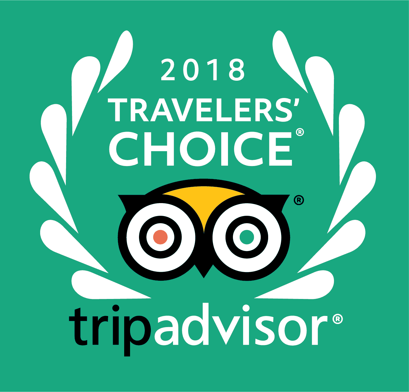 TripAdvisor’s Traveler’s Choice Awards 2018: Experiences