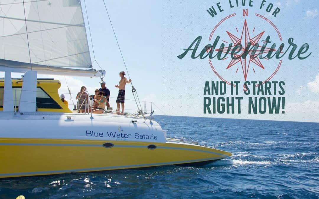 Blue Water Safaris