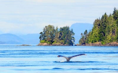 Best Attractions in Each Province