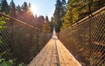 Capilano Suspension Bridge Park