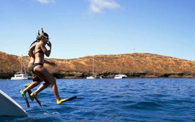 Surprise your client with these unique shore excursions