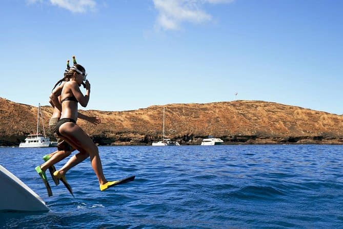 Surprise your client with these unique shore excursions