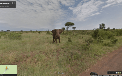 Get close to nature on these 12 virtual tours