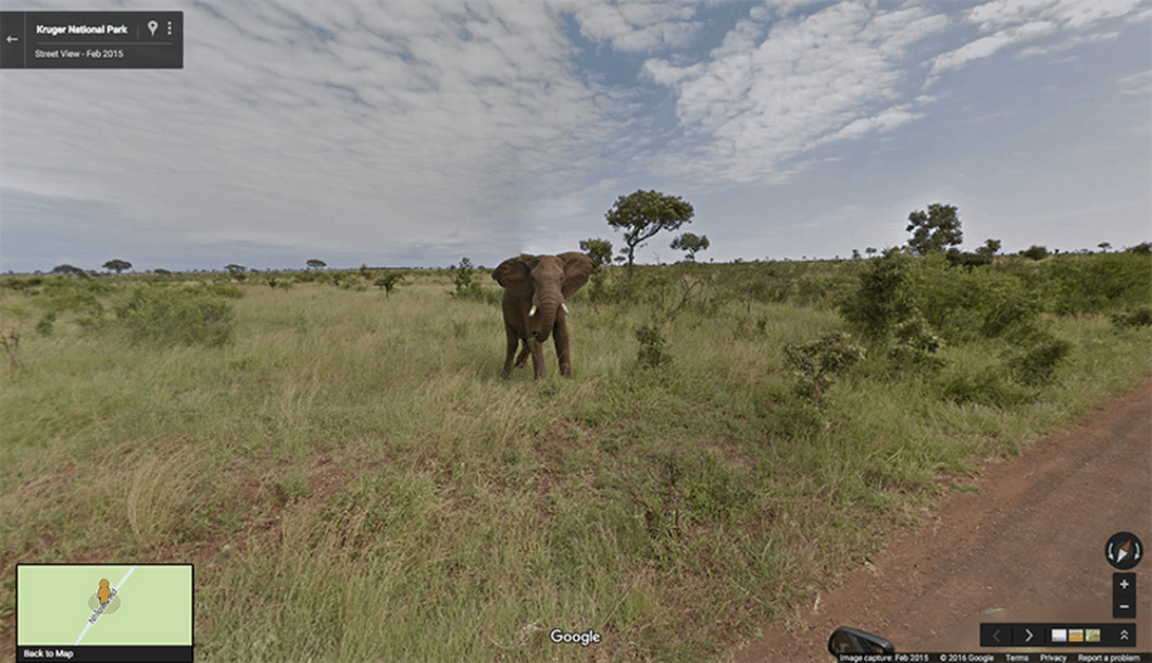 Get close to nature on these 12 virtual tours