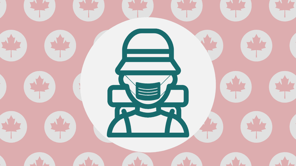 Trending Canadian experiences that are taking COVID-19 safety precautions