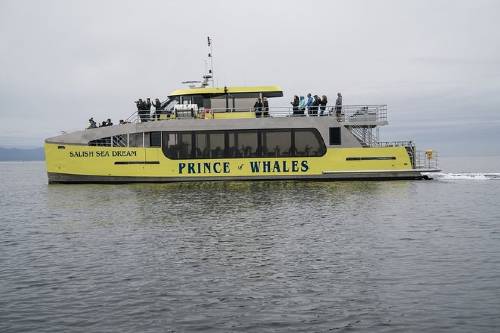 Half-Day Whale Watching Adventure from Vancouver