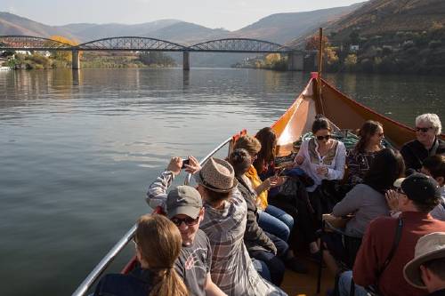 Douro Valley Small-Group Tour with Wine Tasting, and Optional Lunch and Cruise