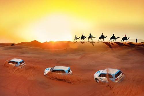 Premium Red Dunes & Camel Safari with BBQ at Al Khayma Camp by OceanAir™️-500x333